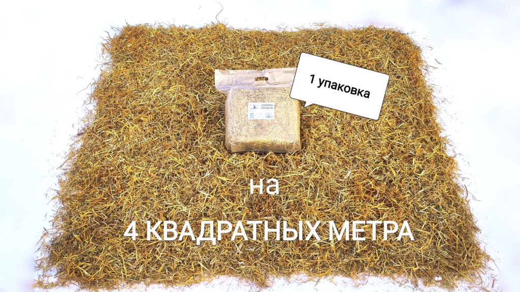 Иллюстрация к мульче соломе
